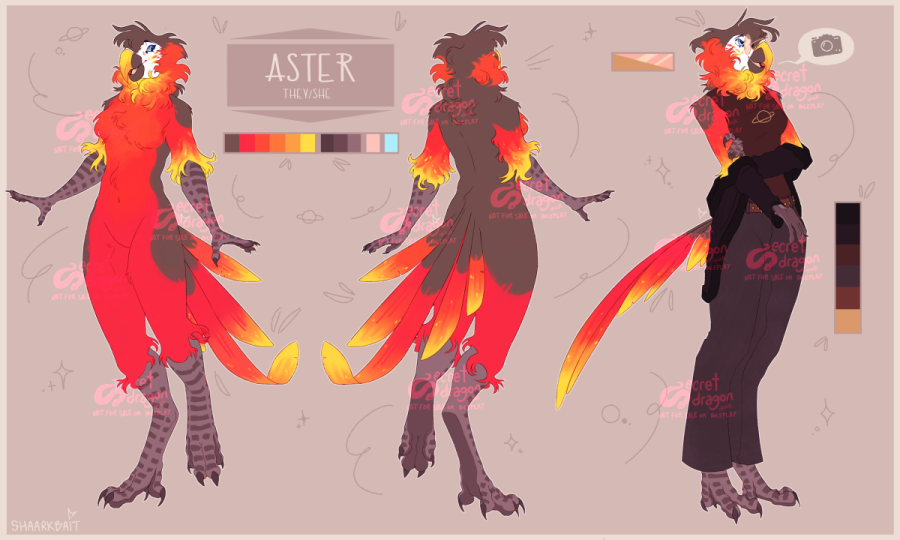 aster-ref_cactiico.png